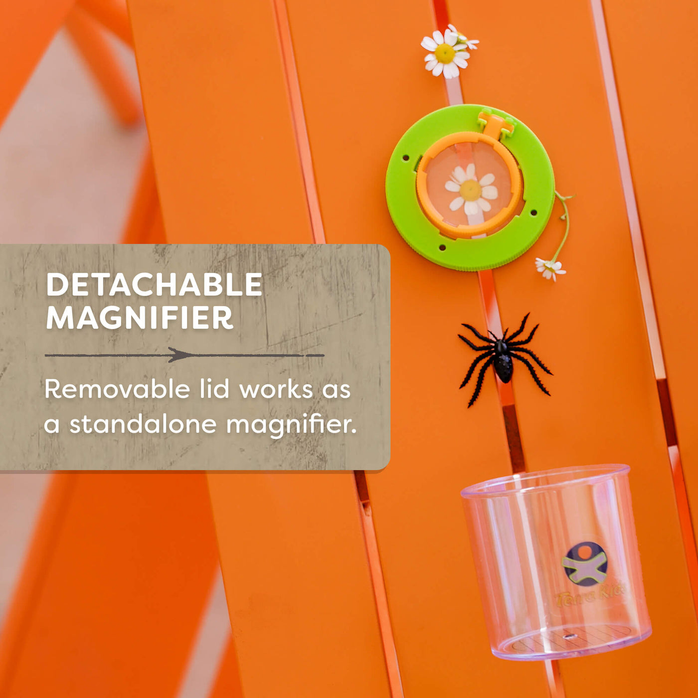 Terra Kids Beaker Magnifier